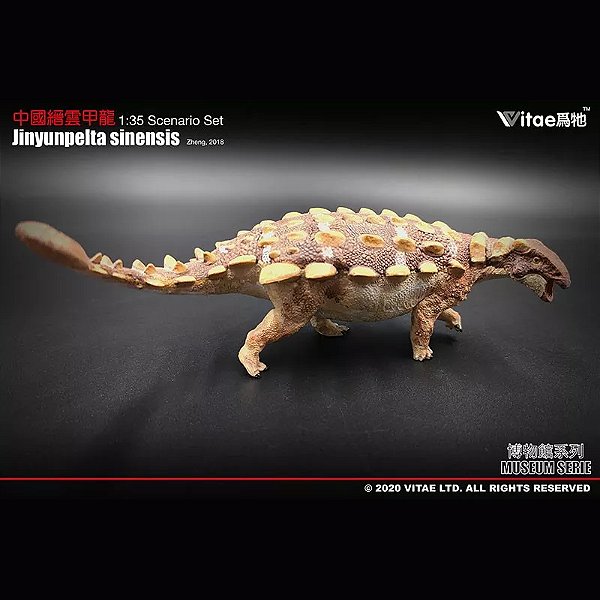 JINYUNPELTA SINENSIS VITAE MINIATURA DINOSSAURO ANQUILOSSAURÍDEO BONECO ANQUILOSSAURO