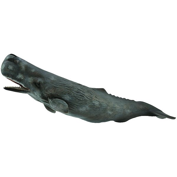 BALEIA CACHALOTE COLLECTA MINIATURA ANIMAL MARINHO BRINQUEDO SPERM WHALE