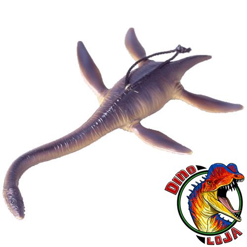 PLESIOSAURUS KINTO FAVORITE