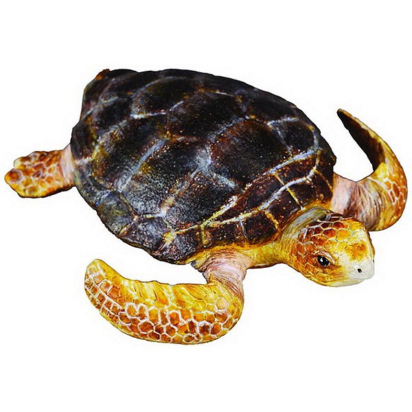 TARTARUGA COLLECTA MINIATURA ANIMAL MARINHO BRINQUEDO LOGGERHEAD TURTLE