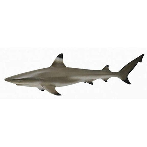 TUBARÃO DE PONTAS NEGRAS DO RECIFE COLLECTA MINIATURA ANIMAL MARINHO BRINQUEDO BLACKTIP REEF SHARK