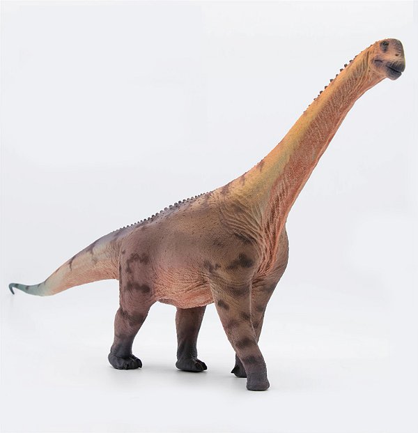 CAMARASAURUS MARROM GRTOYS HAOLONGGOOD DINOSSAURO MODELO CIENTÍFICO SAURÓPODE