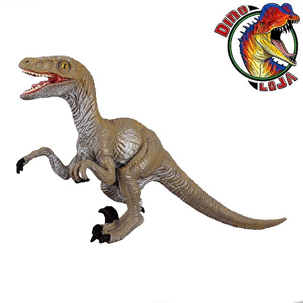 VELOCIRAPTOR PROCON COLLECTA DINOSSAURO IMPORTADO BRINQUEDO RAPTOR