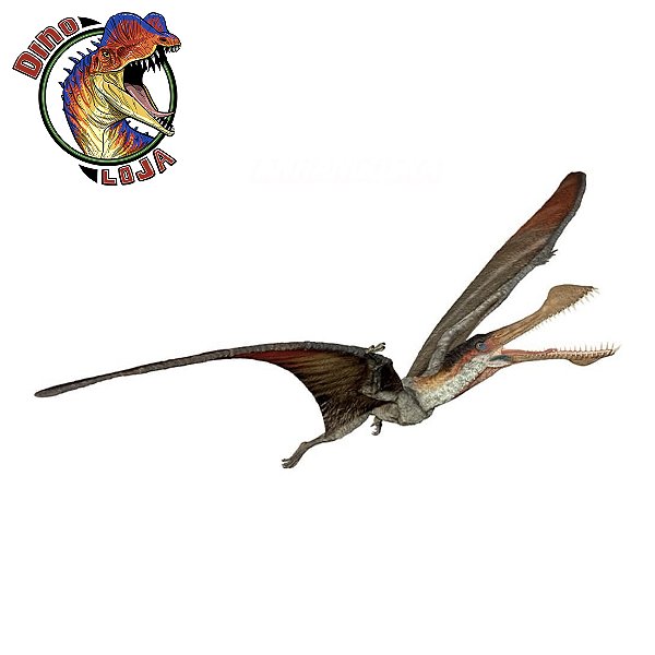 ANHANGUERA PAPO 2025 MINIATURA PTEROSSAURO BRINQUEDO IMPORTADO REALISTA [PRÉ-VENDA]