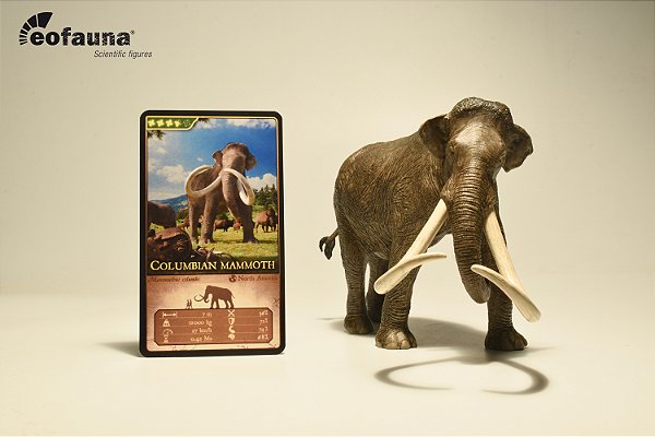 MAMUTE COLUMBIANO RÉPLICA MAMÍFERO ERA DO GELO MINIATURA EOFAUNA
