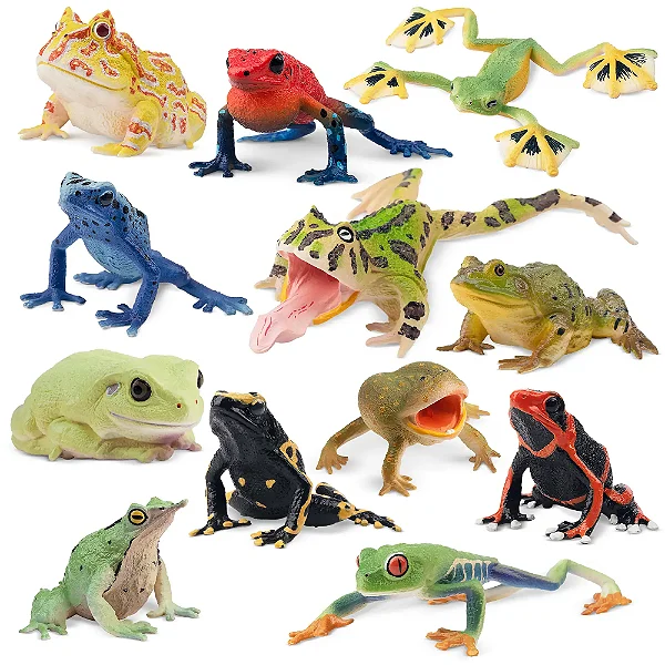 CONJUNTO DE 12 ANFÍBIOS TOYMANY FIGURAS DE ANIMAIS SELVAGENS DE BRINQUEDO SAPOS MINIATURA