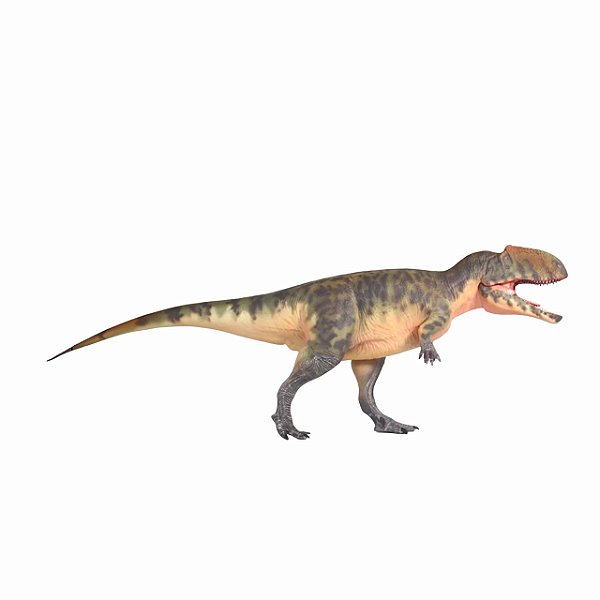 GIGANOTOSAURUS HAOLONGGOOD VERDE DINOSSAURO CARNÍVORO MODELO CIENTÍFICO