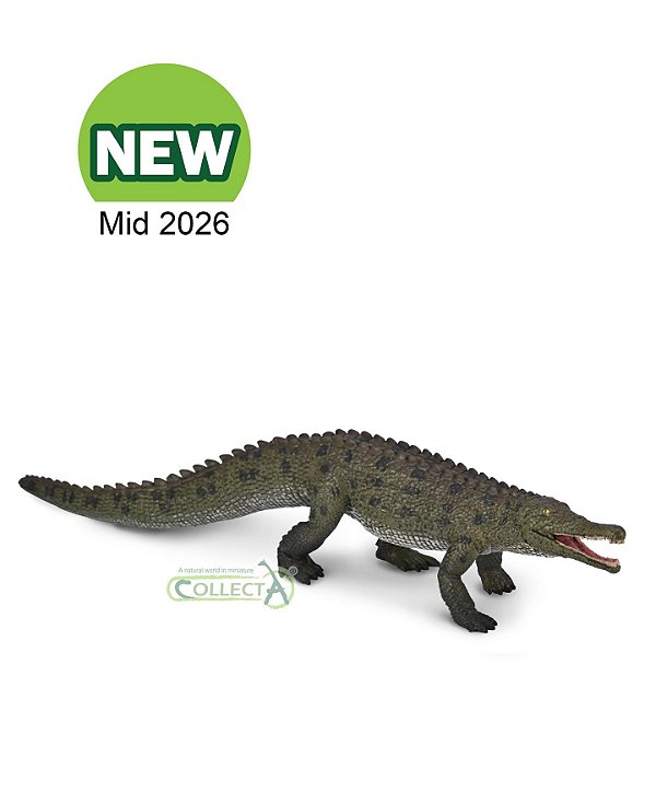 COLOSSOSUCHUS COLLECTA 2026 MINIATURA DE RÉPTIL FITOSSAURO DO TRIÁSSICO COLOSSOSUCO