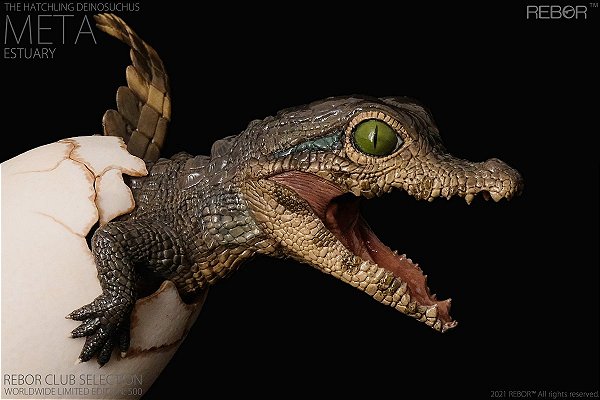 DEINOSUCHUS SAINDO DO OVO REBOR VARIANTE ESTUÁRIO MINIATURA CROCODILO FILHOTE