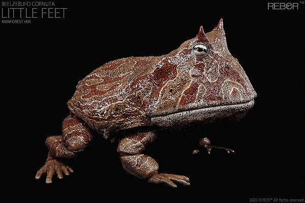 BEELZEBUFO CORNUTA REBOR "LITTLE FEET" VERSÃO FLORESTA TROPICAL SAPO GIGANTE PRÉ-HISTÓRICO ARTICULADO