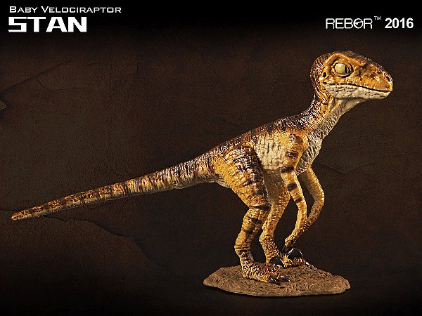 VELOCIRAPTOR BEBÊ REBOR STAN MINIATURA DINOSSAURO RAPTOR FILHOTE ESTILO JURASSIC PARK