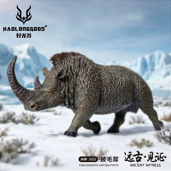 COELODONTA HAOLONGGOOD MINIATURA RINOCERONTE EXTINTO MAMÍFERO PRÉ-HISTÓRICO PARACERATÉRIO