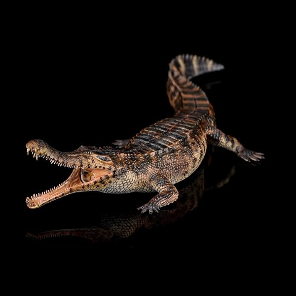 SARCOSUCHUS IMPERATOR HAOLONGGOOD MARROM CROCODILO PRÉ-HISTÓRICO GIGANTE SARCOSUCO