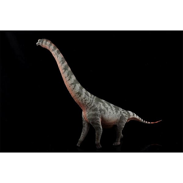 BRACHIOSAURUS HAOLONGGOOD VERDE DINOSSAURO HERBÍVORO MODELO CIENTÍFICO BRAQUIOSSAURO