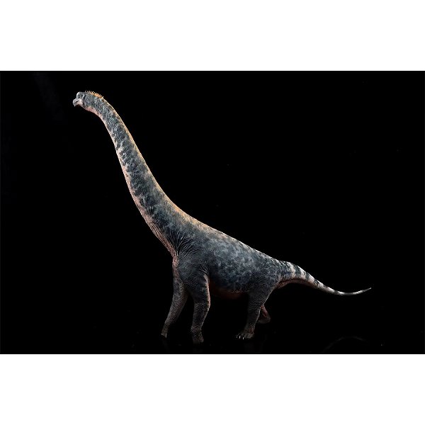 BRACHIOSAURUS HAOLONGGOOD CINZA DINOSSAURO HERBÍVORO MODELO CIENTÍFICO BRAQUIOSSAURO