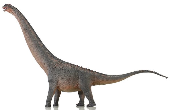 ARGENTINOSAURUS CINZA LISTRADO HAOLONGGOOD DINOSSAURO MODELO CIENTÍFICO SAURÓPODE GIGANTE ARGENTINOSSAURO