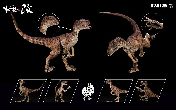 VELOCIRAPTOR NANMU 2024 "SHADOW BLADE" SMART SERIES MINIATURA DINOSSAURO CARNÍVORO RAPTOR