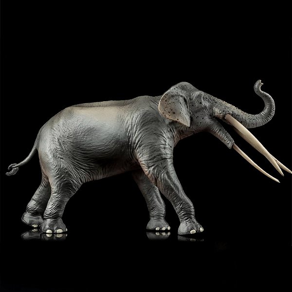 STEGOTETRABELODON HAOLONGGOOD CINZA MINIATURA ELEFANTE EXTINTO MAMÍFERO PRÉ-HISTÓRICO