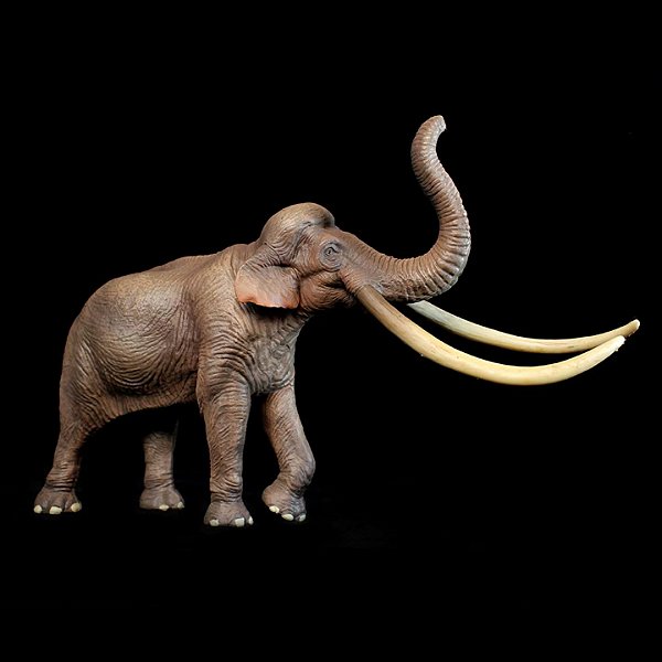 PALAEOLOXODON HAOLONGGOOD MARROM MINIATURA ELEFANTE-DE-PRESAS-RETAS MAMÍFERO PRÉ-HISTÓRICO EXTINTO
