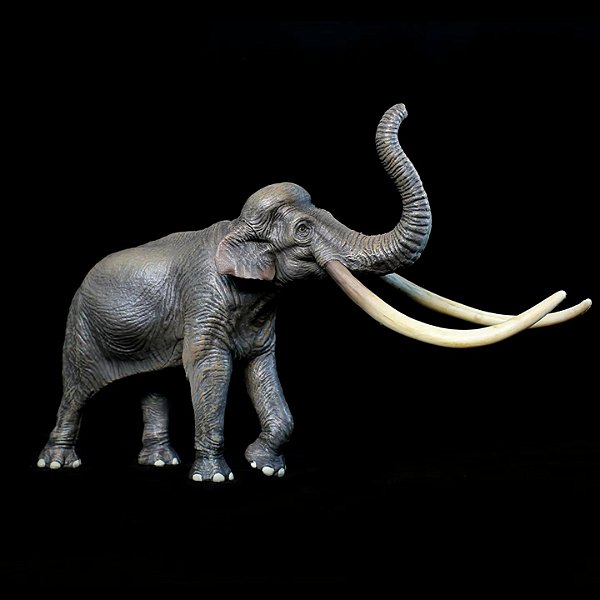 PALAEOLOXODON HAOLONGGOOD CINZA MINIATURA ELEFANTE-DE-PRESAS-RETAS MAMÍFERO PRÉ-HISTÓRICO EXTINTO