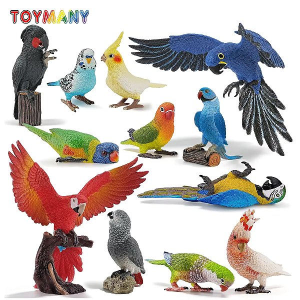 CONJUNTO DE 12 PAPAGAIOS TOYMANY FIGURAS DE AVES SILVESTRES DE BRINQUEDO PÁSSAROS SELVAGENS