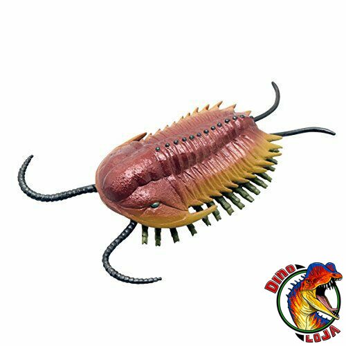 OLENOIDES TRILOBITA FAVORITE JAPÃO RÉPLICA DE INVERTEBRADO MINIATURA COLECIONÁVEL