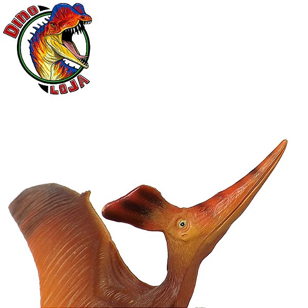 PTERANODON STERNBERGI FAVORITE