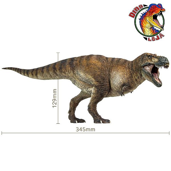 TYRANNOSAURUS REX WILSON 2020 PNSO MINIATURA  RÉPLICA  DE DINOSSAURO DE COLEÇÃO