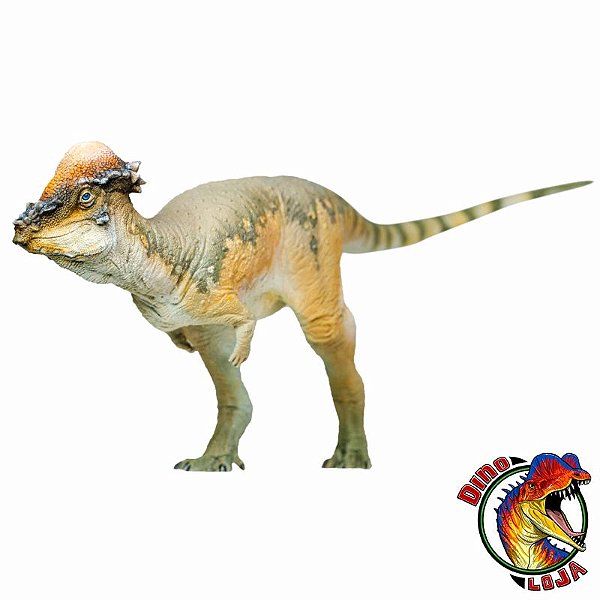 PACHYCEPHALOSAURUS PNSO RÉPLICA DE DINOSSAURO HERBÍVORO PAQUICEFALOSSAURO AUSTIN