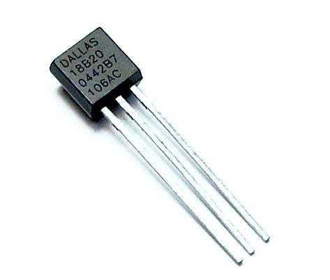 DS18B20- CI Sensor de Temperatura