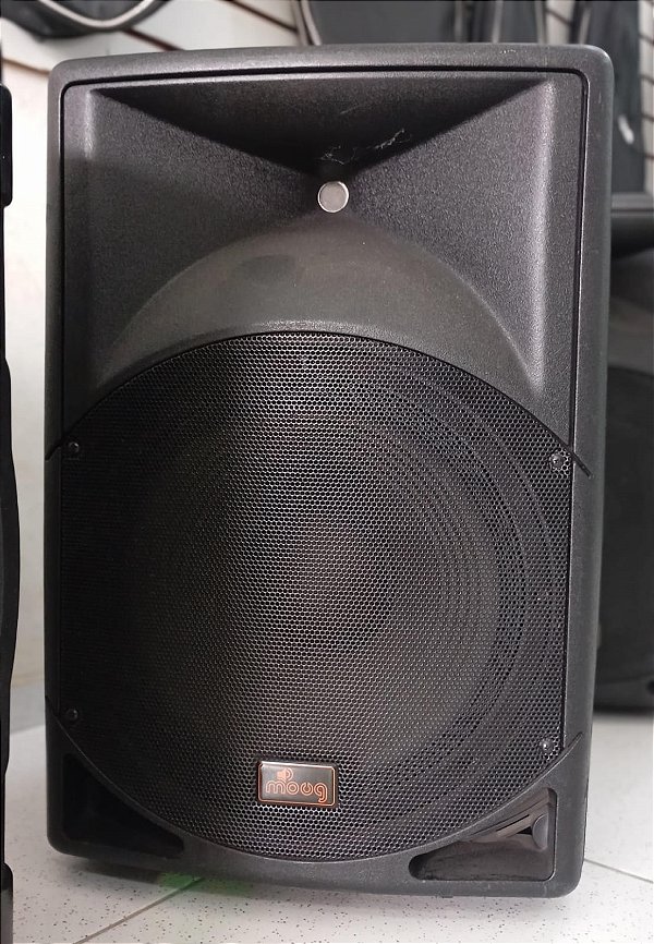 CAIXA PASSIVA 15'' MOUG L.P300 - DE 879,90 POR 615,99 (30%OFF)