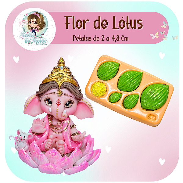 Flor de Lotus