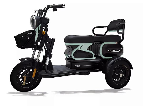 Triciclo WSD-U1 de 1000w bateria de lítio 24ah 2 lugares
