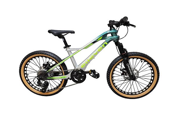 BICICLETA INFANTIL  ARO 20 VERDE/CINZA MAGNESIO