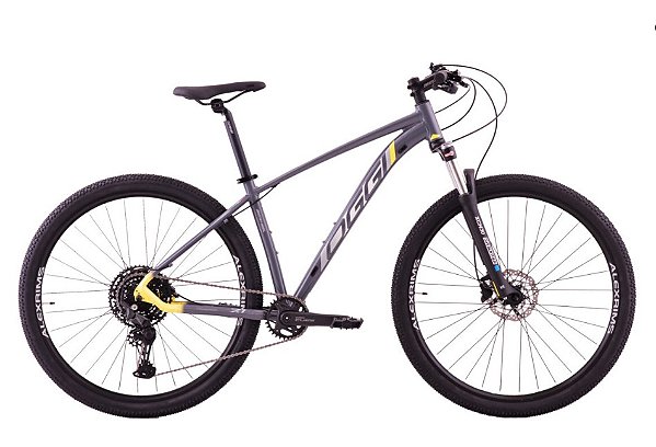 BIC OGGI 29 BW 7.1 CUES 10V GRAF/PTO/AMAR 19 2024 - DCRE 2024/03164-6