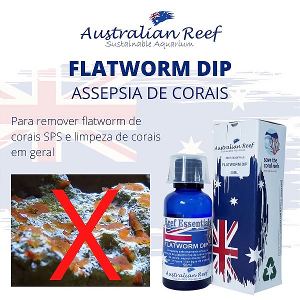 Australian Reef Flatworm Dip