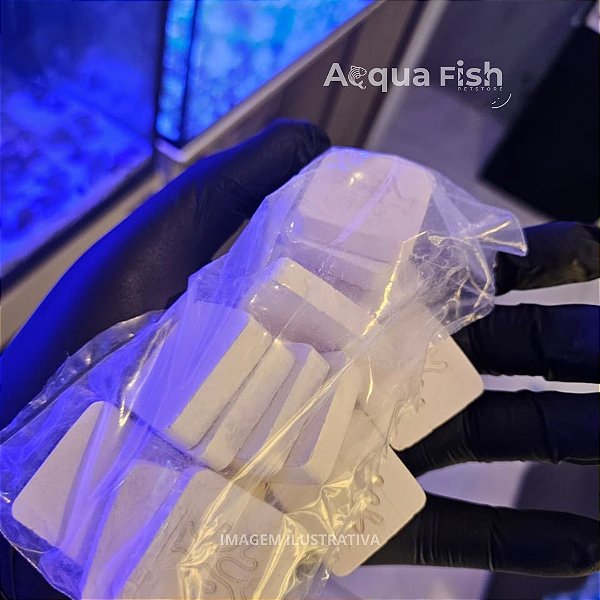 Base para Corais – Suporte para Fixação e Montagem de Reefs