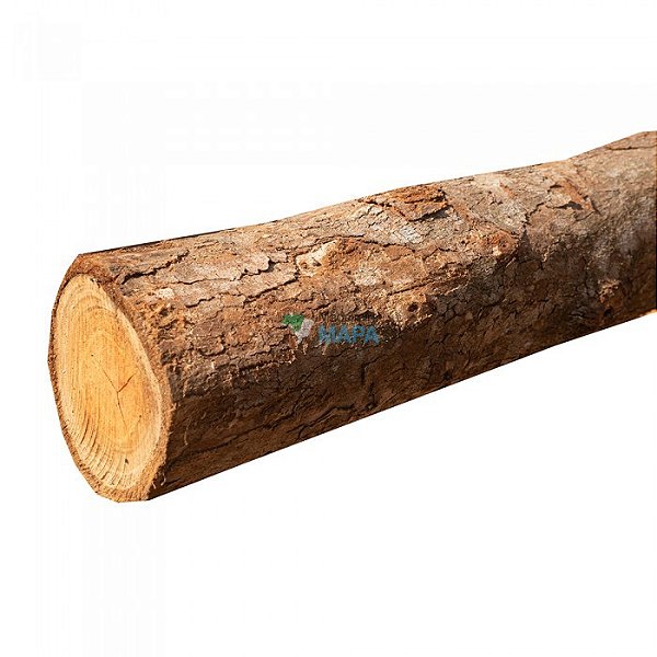 PONTALETE EUCALIPTO 3M