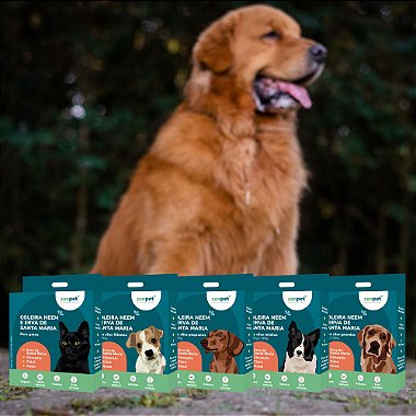 Coleira Natural Neem e Erva Santa Maria para Cães e Gatos Zenpet