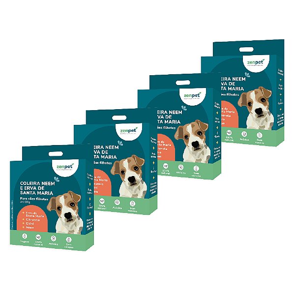 Kit 4 Coleira Natural Neem e Erva Santa Maria Cães Filhotes Zenpet
