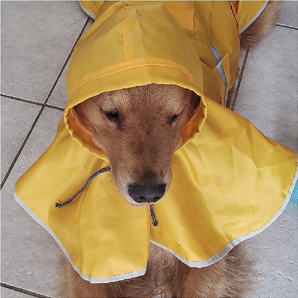 Capa de Chuva para Cachorro Impermeável Amarela Coleção Nova Zenpet