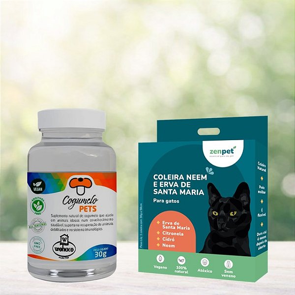 Kit Coleira Zenpet Gatos + Suplemento Cogumelos Pet
