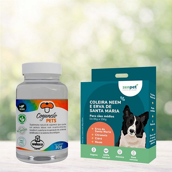 Kit Coleira Zenpet Cães Médios + Suplemento Cogumelos Pet