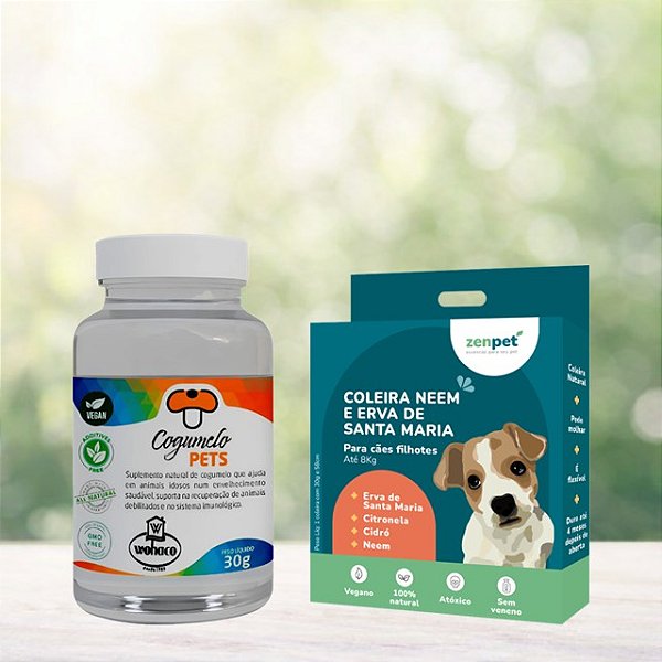 Kit Coleira Zenpet Cães Filhotes + Suplemento Cogumelos Pet