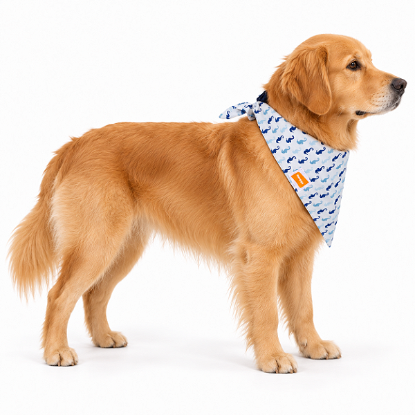 Bandana para Cães Dupla Face Cavalo-Marinho
