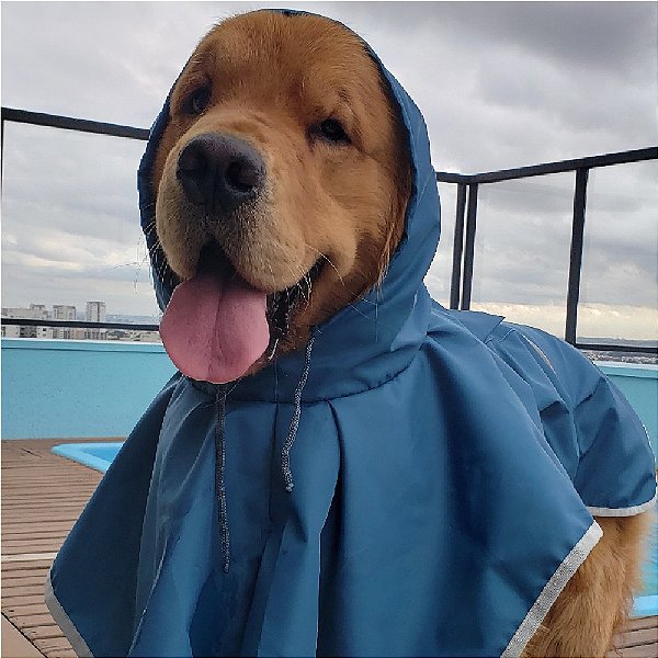 Capa de Chuva para Cachorro Azul Petróleo ZenPet