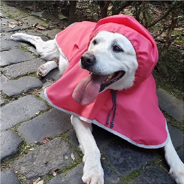 Capa de Chuva para Cachorro Rosa ZenPet