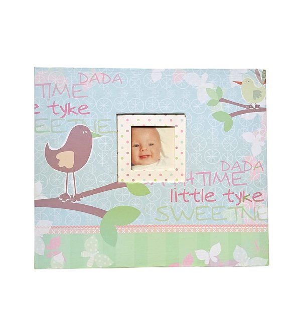 Álbum Scrapbook 26x22,5cm com Pino Bebê Menina - 10 Folhas Plásticas AVARIADO