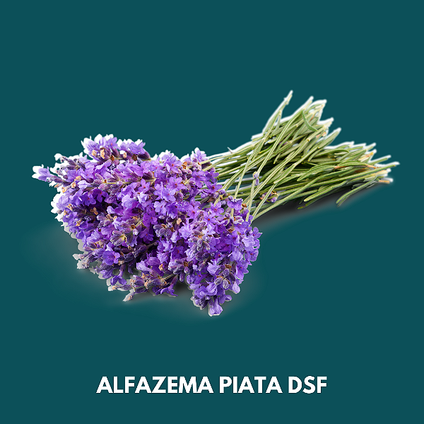 Essência Alfazema Piata DSF - 100 ml