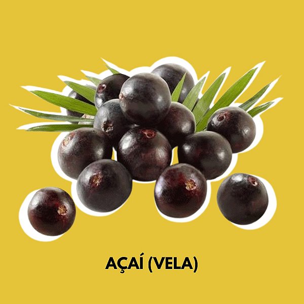 Essência de Açaí Para Vela